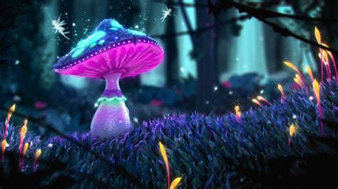 A Magical Encounter: Finding Magic Mushrooms in the Crystal Garden